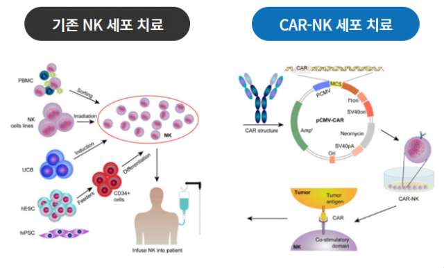 유씨아이테라퓨틱스가 개발 중인 CAR-NK 기반 면역세포치료제 작용 기전. 그림 제공=유씨아이테라퓨틱스
