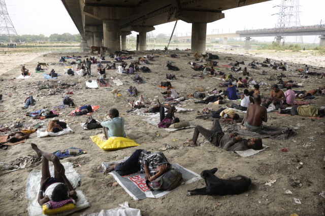 초여름 더위는 한국만의 일이 아니다. 인도 뉴델리에서 20일(현지시간) 홈리스들이 교량 아래 그늘에 일제히 몰려들어 더위를 식히고 있다. AP연합뉴스