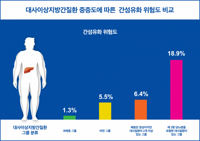 대사이상지방간질환 중증도 심할수록 간 섬유화 위험도 증가 [헬시타임]