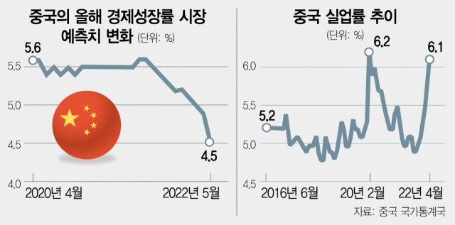 [글로벌 What] '中2인자'도 '경제 해친다' 공개 비판… 소로스 '習 최악의 실수'