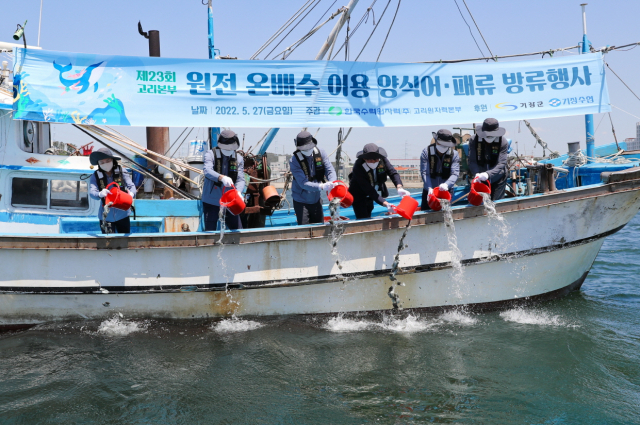 고리원자력본부가 부산시 기장군 장안읍 월내항에서 ‘제23회 원전 온배수 이용 양식 어패류 방류행사’를 열고 강도다리 치어 3만 미와 전복치패 2만 미를 방류했다./사진제공=고리원자력본부