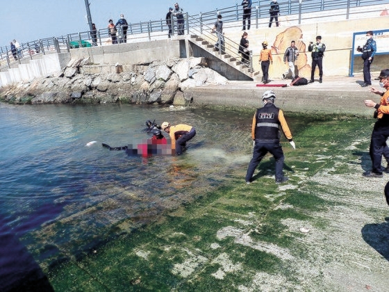 지난달 3일 부산 기장군 동백항에서 발생한 경차 추락 사고 구조 현장. /사진 = 부산소방재난본부 제공