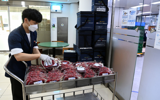 서울 강서구 대한적십자사 중앙혈액원 핼액보관소에서 한직원이 각 병원으로 발송될 혈액을 분류하고 있다. 이호재기자.