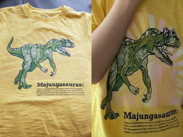 미국 의류 브랜드 ‘갭(GAP)’에서 판매하는 어린이 티셔츠에 욱일기를 형상하는 무늬가 교묘히 숨겨져 있어 소비자가 이를 제대로 인지하지 못한 채 구매한 사연이 전해져 논란이 일고 있다. 온라인 커뮤니티 캡처