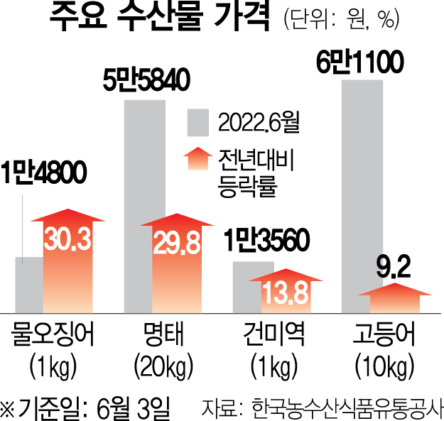 정부 물량 공세에도 여전히 金징어·金태