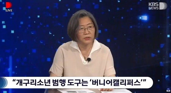 ‘개구리소년 사건’의 범행 도구가 '버니어캘리퍼스'라는 누리꾼 주장에 이수정 경기대 범죄심리학과 교수는 