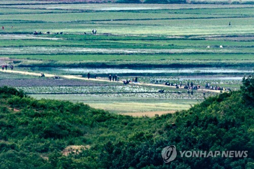 8일 경기도 파주시 오두산 통일전망대에서 바라본 북한 황해북도 개풍군 일대에서 주민들이 농사일을 하고 있다./연합뉴스