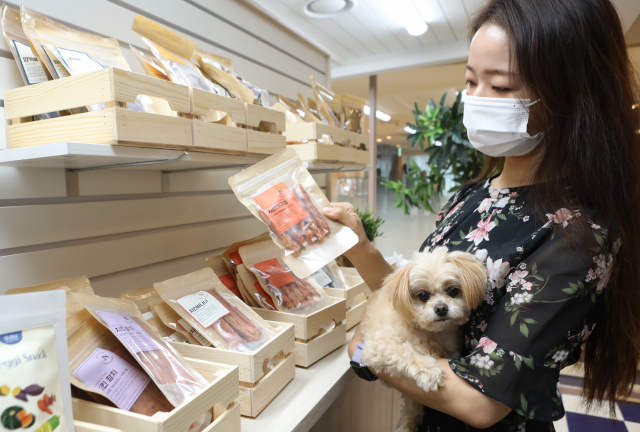 롯데백화점 일산점 프랑소와펫 매장에서 고객이 반려견 간식을 구매하고 있다./사진 제공=롯데백화점