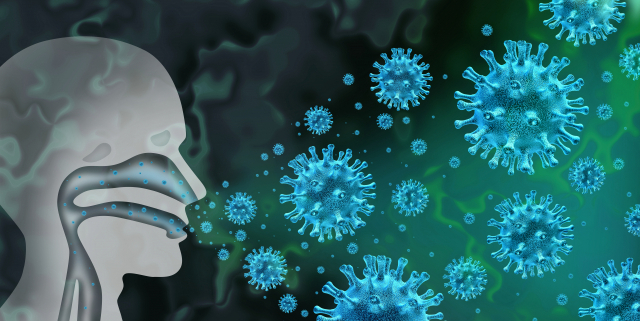 연세대 연구팀은 마우스모델을 통해 결핵 감염 이후 바이러스 감염으로 중증 결핵으로 진행되는 면역학적 기전과 핵심인자를 밝혔다. 이미지투데이