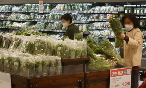 서울의 한 대형마트에서 소비자들이 채소를 고르고 있다. 연합뉴스