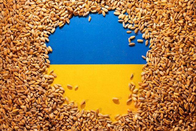 조 바이든 미국 대통령이 14일(현지시간) 러시아의 우크라이나 해상 봉쇄로 발생한 식량 위기를 언급하며, 폴란드를 포함해 우크라이나 국경 인근에 임시 곡식 저장소(silo)를 만들 것이라고 밝혔다. 사진은 2022년 5월 9일 촬영한 곡물로 덮인 우크라이나 국기 모습./로이터 연합뉴스