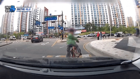 경기도의 한 도로에서 자전거 탄 아이가 “왜 따라오냐”며 운행을 멈춰 주행 중인 차량과 대치한 황당한 사연이 전해졌다. SBS 맨인블랙박스 캡처
