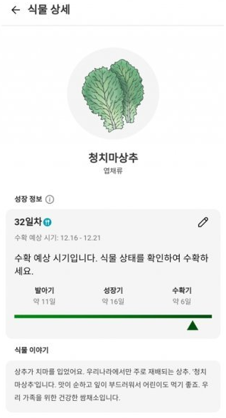 청치마상추 씨앗키트를 사용했다. LG 씽큐 앱을 이용하면 편리하게 식물 성장 과정을 살필 수 있다.