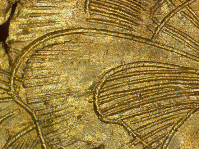 경주 동궁과 월지에서 발굴돼 8세기 유물로 추정되는 '선각단화쌍조문금박'의 세부 모습. 머리카락보다 얇은 선을 반복적으로 문양을 만든 것을 현미경을 통해 확인할 수 있을 정도로 정교하다. /사진제공=문화재청