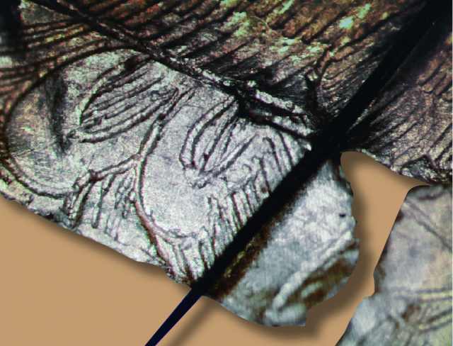 경주 동궁과 월지에서 발굴된 8세기 금박에 새긴 문양이 머리카락(오른쪽 검은 선)보다도 더 가늘다는 것을 현미경으로 확인할 수 있다. /사진제공=문화재청 국립문화재연구소