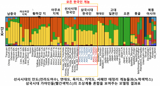 삼국시대 한국인과 선사시대, 현대 아시아인의 유전적 구성 비교한 유전적 혼합비율 그래프. X 축의 파란색과 빨간색의 이름들이 8명의 삼국시대 게놈들이다. 이들 삼국시대 가야인들에겐 지금의 중국인, 일본인, 한국인보다, 일본계 조몬인의 유전적 요소(녹색계열)가 상대적으로 더 많다. 조몬계로 불리는 선사시대 종족이 한반도에도 있었다고 이해할 수 있다. 그래프=UNIST
