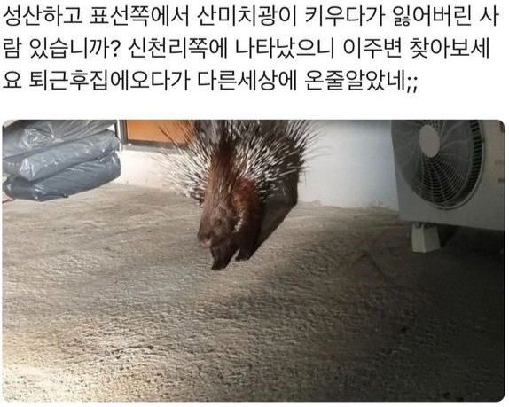 /사진=온라인 커뮤니티