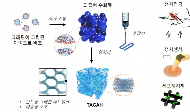 지스트, 그래핀 3차원 구조화로 독성↓·전도성↑ 수화젤 개발