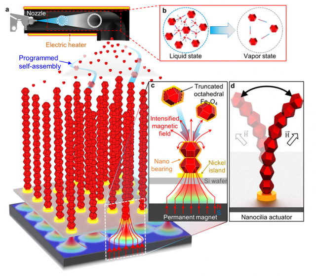 자기력 위치 제어 자가조립 합성법. 그림제공=UNIST