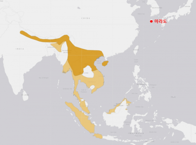 큰부리바람까마귀 분포권은 태국·베트남·미안먀·말레이시아·인도네시아 등 동남아시아와 중국 서남부 지역이다. 마라도는 큰부리바람까마귀 주서식지보다 북동쪽에 위치해있다. 연합뉴스