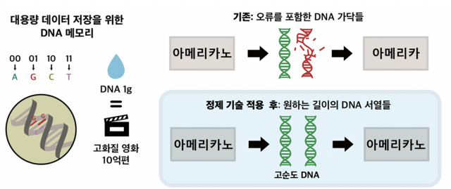 DNA 메모리 상용화를 위한 초병렬적 DNA 정제 기술