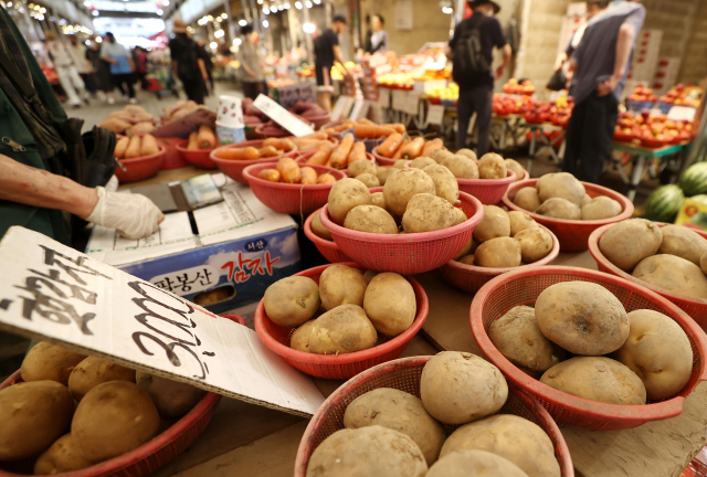 서울의 한 시장에 최근 가격이 급등한 감자가 진열돼 있다. 연합뉴스