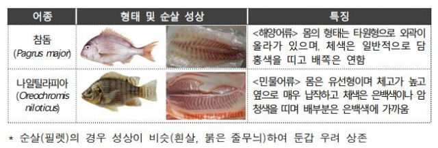 참돔과 나일틸라피아 모두 원물 상태로는 구분이 쉽지만, 순살(필렛)로 유통될 땐 흰살에 붉은 줄무늬로 비슷한 형태를 보여 혼동하기 쉽다. 연합뉴스