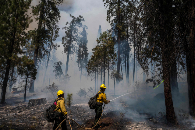 TOPSHOT - Firefighters put out hot spots from the Washburn Fire in Yosemite National Park, California, July 11, 2022. - Hundreds of firefighters scrambled Monday to prevent a wildfire engulfing an area of rare giant sequoia trees in California\'s Yosemite National Park. The Washburn fire, in the Mariposa Grove of giant sequoias, was first reported on July 7 and doubled in size over the weekend to 2,340 acres (946 hectares), according to a park report. Yosemite\'s fire management service said 545 firefighters were battling the blaze, including \