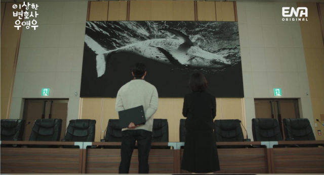 로펌 ‘한바다’ 회의실에서 고래 사진을 바라보는 우영우 변호사