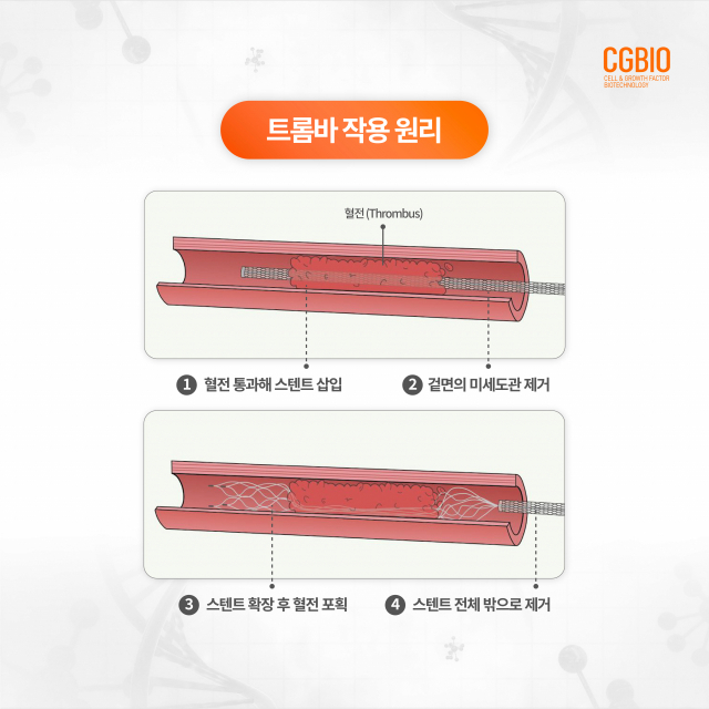 트롬바 작용 원리. 사진 제공=시지바이오