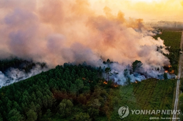 프랑스 산불./연합뉴스