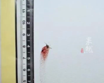 공안이 모기에서 채취한 혈액으로 절도 용의자를 검거했다. 웨이보 캡처