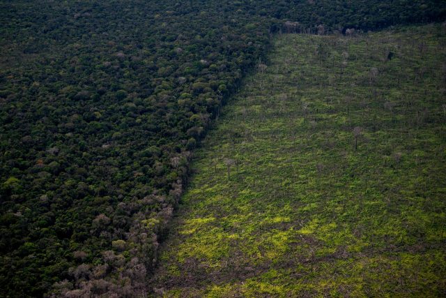 지난달 6일 브라질 아마조나스주 마나우스와 마니코어를 비행하다 발견된 아마존 열대 우림의 삼림 벌채 지역. AFP연합뉴스