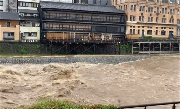 교토의 가모가와 강에서 폭우로 인해 강물이 불어난 모습. 트위터 캡처