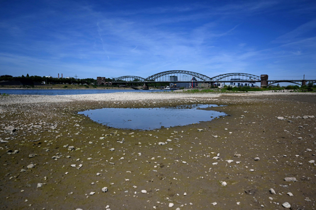 유럽이 섭씨 40도를 넘나드는 폭염을 겪는 가운데 18일(현지 시간) 가뭄으로 독일 쾰른의 라인강 바닥이 말라붙어 있다. AFP연합뉴스