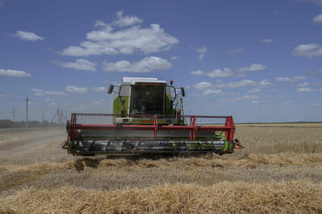 21일(현지시간) 우크라이나 미콜라이우 인근에서 한 농부가 밀을 수확하고 있다. AFP연합뉴스