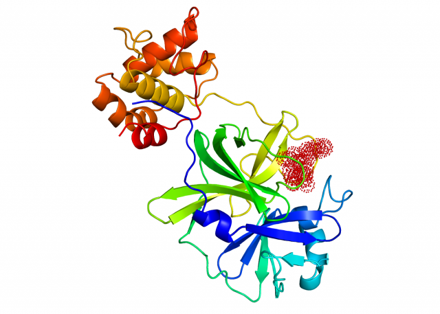 3CL프로테아제와 ‘JNC-11139’의 결합구조. 이미지제공=크리스탈지노믹스