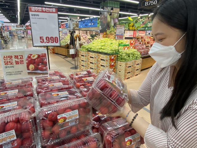 롯데마트 매장에서 고객이 상생과일 자두 제품을 살펴보고 있다./사진 제공=롯데마트