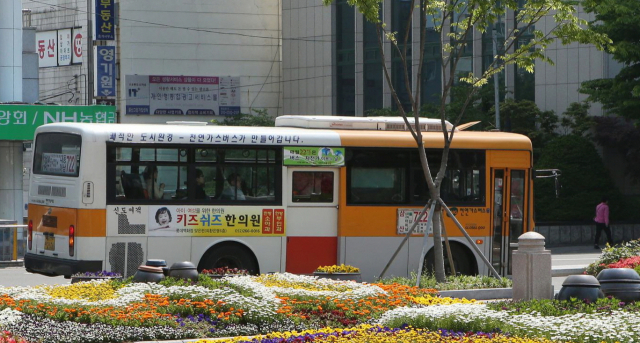 울산시청 앞 시내버스. 사진제공=울산시