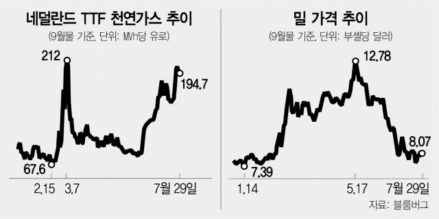 사진 설명