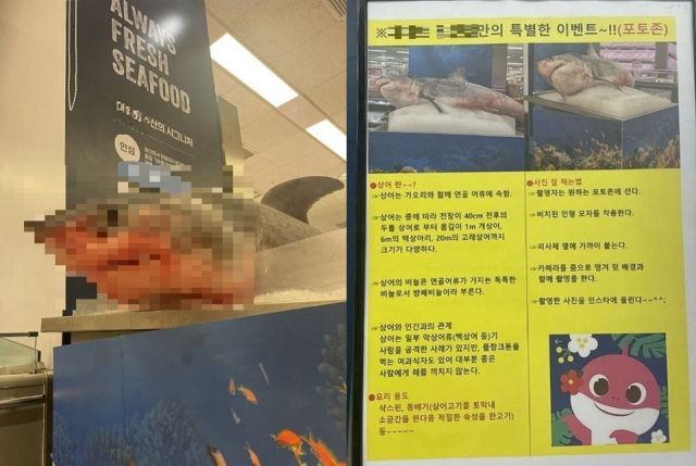 이마트 용산점 수산물 코너에 전시돼 있는 상어 사체. 온라인 커뮤니티 캡처