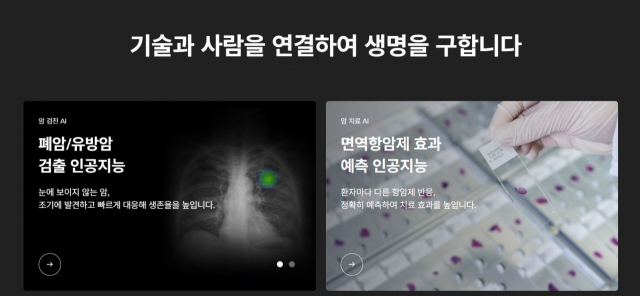 사진=루닛 홈페이지 캡처