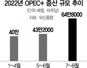 사진 설명