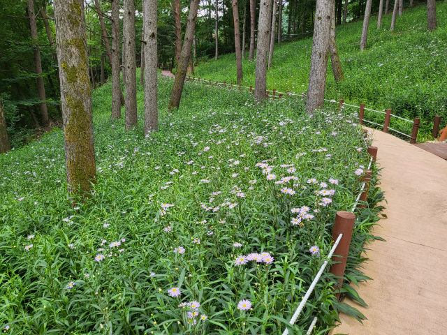 성주 가야산야생화식물원 새단장