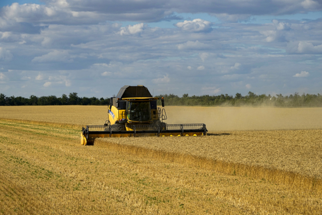 러시아 점령지인 우크라이나 남부 지역에서 농민이 밀을 수확하고 있다. 연합뉴스