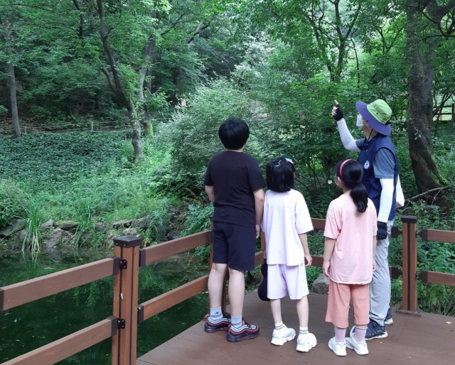 용인자연휴양림 숲해설프로그램 참가자들이 야생화단지 산책로에서 설명을 듣고 있다. /사진제공=용인시