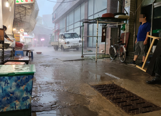 폭우로 난리났는데…제주  연수 떠난 인천 미추홀구 의원들