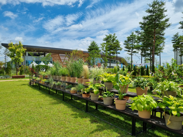 국립세종수목원에서 진행된 2022년도 상반기 정원식물 전시회. 사진제공=한국수목원정원관리원