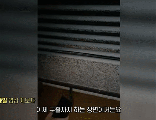 지난 8일 서울 관악구 신림동에서 반지하 주택에 갇힌 아이를 구조하고 있는 시민들의 모습. 뉴스1 캡처
