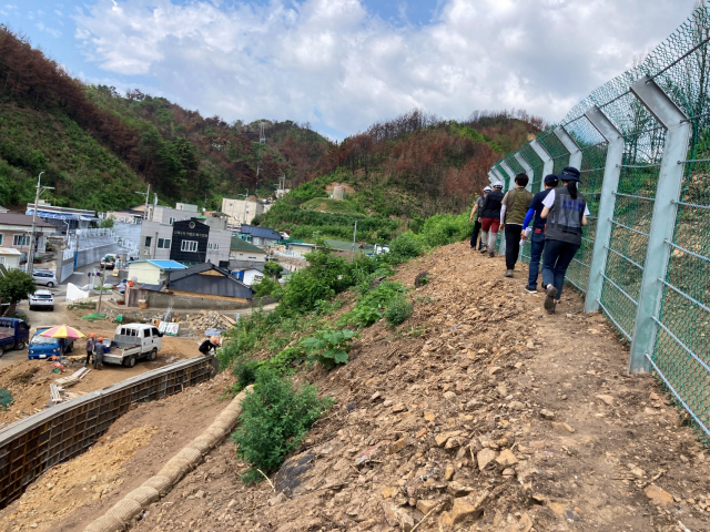 산림청 직원들이 대형산불피해지 응급복구 현장을 점검하고 있다. 사진제공=산림청